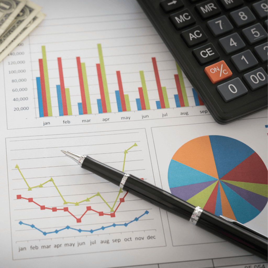 Monitoraggio rendicontazione
