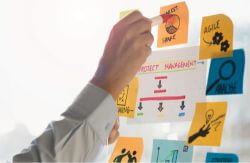 Tirocinio Project Manager Junior